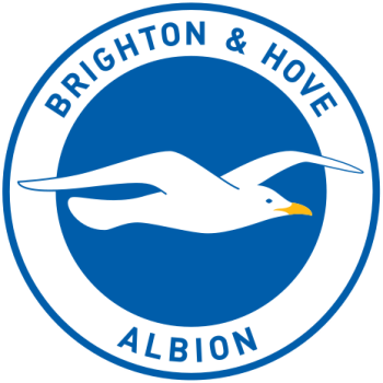 Brighton & Hove Albion FC Profile