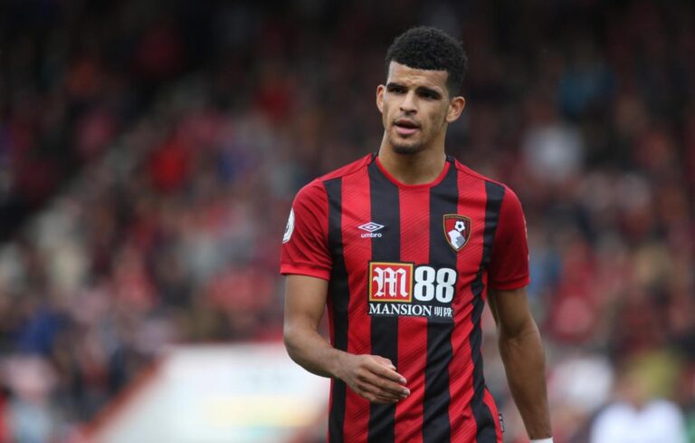 Dominic Solanke age, salary, net worth, girlfriend, Current Teams, Career, and much more