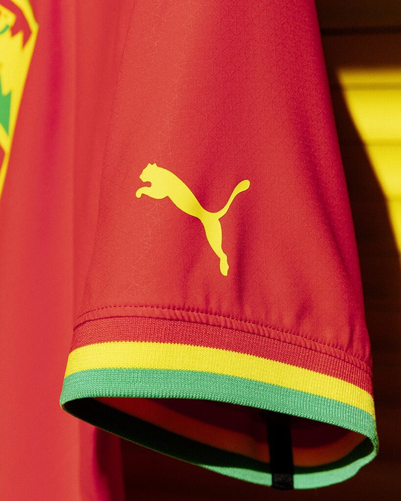 Ghana World Cup 2022 Away Kit Puma Logo