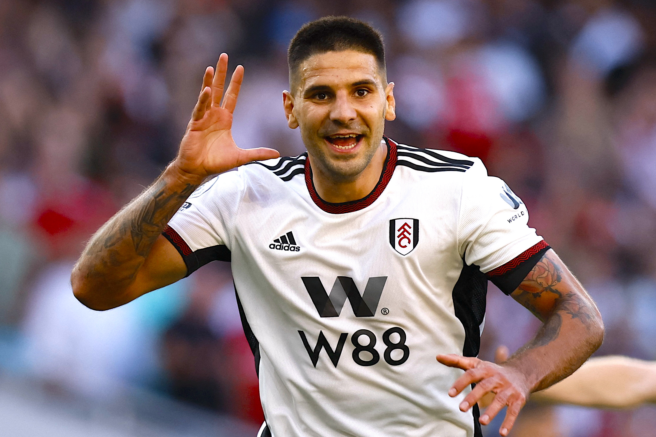 Aleksandar Mitrović Age, Salary, Net worth, Current Teams, Career, Height, and much more