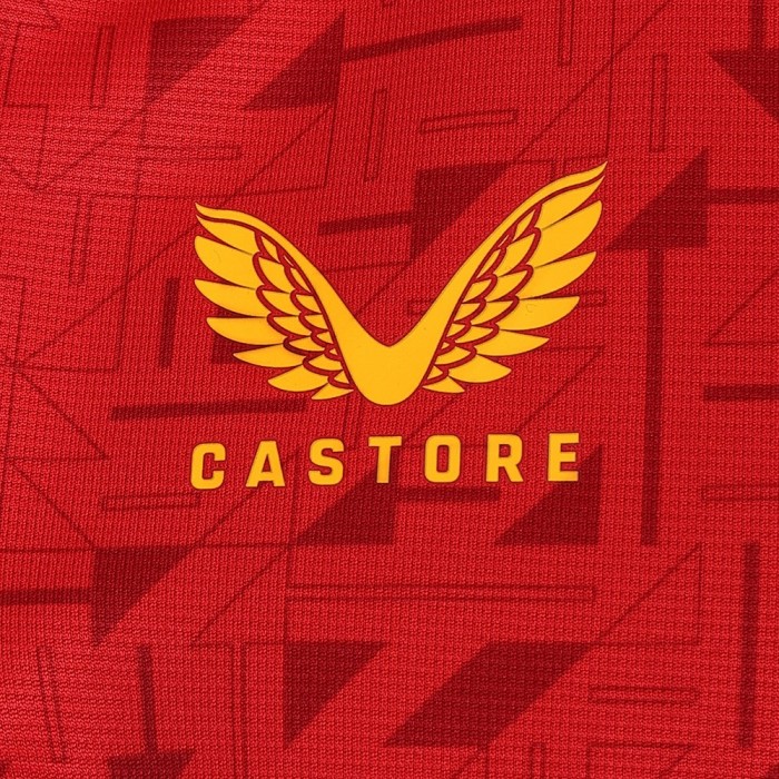 Wolves Away Kit 2023-24 Castore Badge