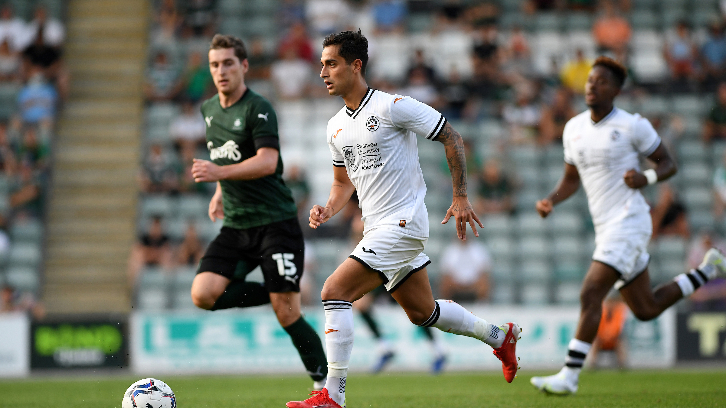 Watch Plymouth Argyle vs Swansea City Live Stream, How To Watch Championship Round 11 Live TV Info Worldwide
