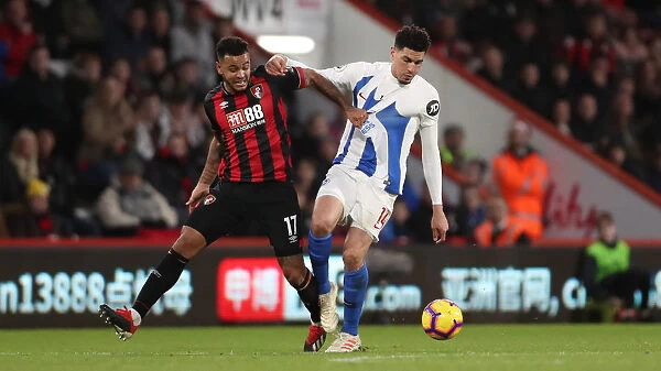 AFC Bournemouth vs Brighton Albion prediction, odds & betting tips, lineups, Preview